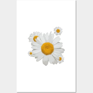 Daisy flower minimal white cute Posters and Art